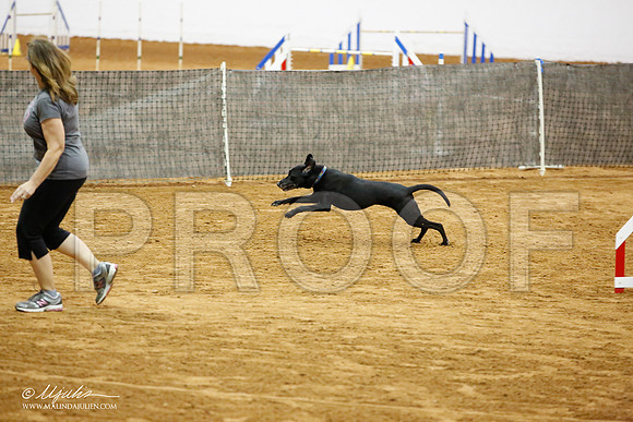 _JJ_9341-FWAgilJun2015-HR3