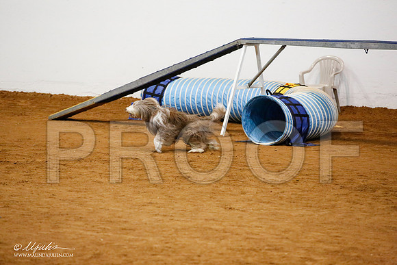 _JJ_0685-FWAgilJun2015-HR3