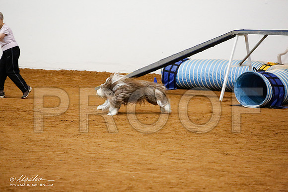 _JJ_0686-FWAgilJun2015-HR3