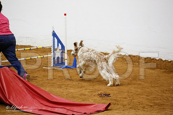_JJ_3504-FWAgilJun2015-HR3