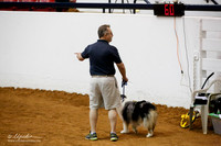 Std Exc 20 Fri Darrell Van Horn Bounce