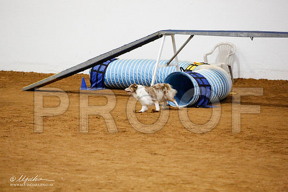 _JJ_0909-FWAgilJun2015-HR3