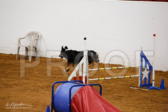 _JJ_2211-FWAgilJun2015-HR3