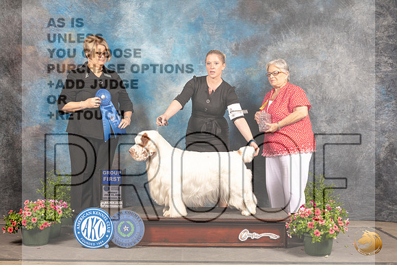 Clumber Spaniel #7 Sun G1 Judge Cindy Lane_MJ_1634_SA_2022_HR3