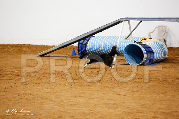 _JJ_2609-FWAgilJun2015-HR3