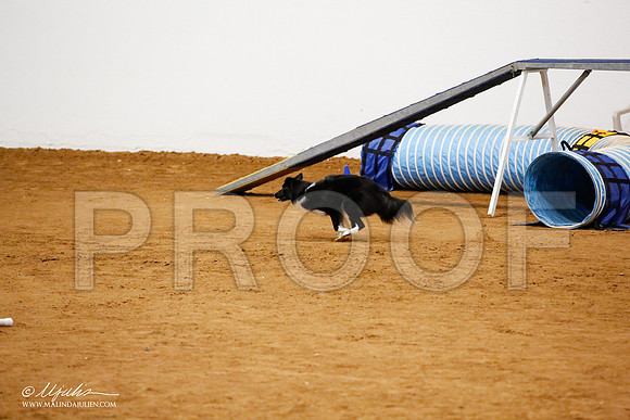 _JJ_2610-FWAgilJun2015-HR3