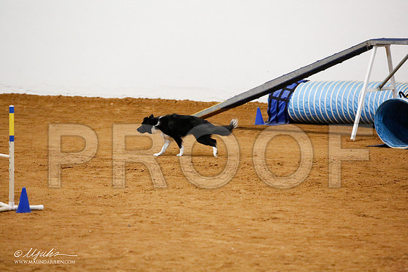 _JJ_2611-FWAgilJun2015-HR3