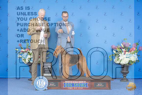 Airedale Terrier #6 SAT G4 Judge Jon Cole__JP_0104_Houston_2024_HR3
