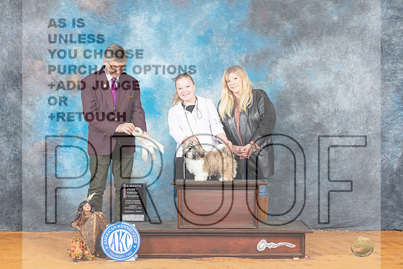 Shih Tzu #10 Sun 4to6G4 Judge William Powell-_MJ_2420e_Marshall_2022-HR3
