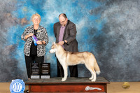 Elizabeth Chism Sulphur Spring 2022