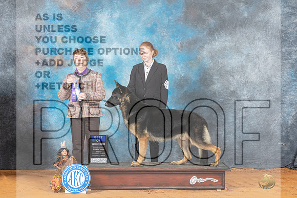 German Shepherd Dog #5 Sun BOW Judge Sandra Walker-_MJ_2235e_Marshall_2022-HR3