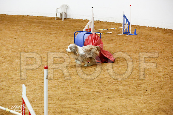 _JJ_0015-FWAgilJun2015-HR3