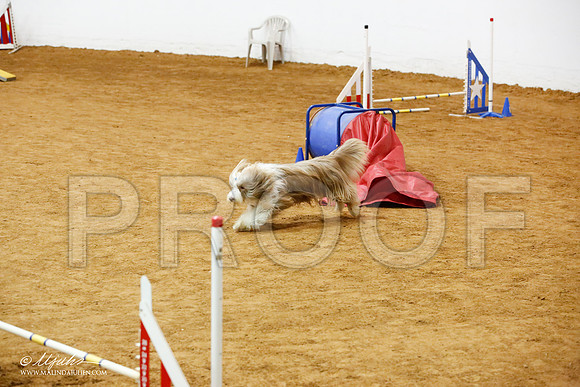 _JJ_0016-FWAgilJun2015-HR3