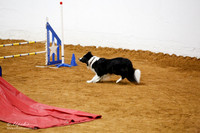 Std Exc 20 Fri Marla Bull Katie Bug