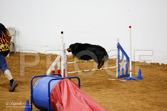 _JJ_2685-FWAgilJun2015-HR3