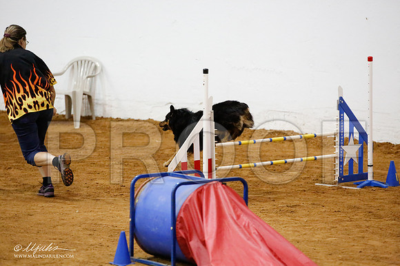 _JJ_2686-FWAgilJun2015-HR3