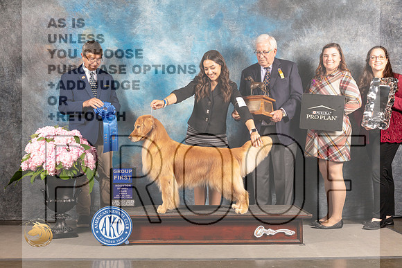 Golden Retriever #18 FRI G1 Judge Richard Powell_MJ_6007_Houston_2022_HR3