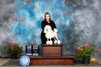 Poodle Miniature #18 Sun BOVMCH Judge Elizabeth ‘Beth’ Sweigart