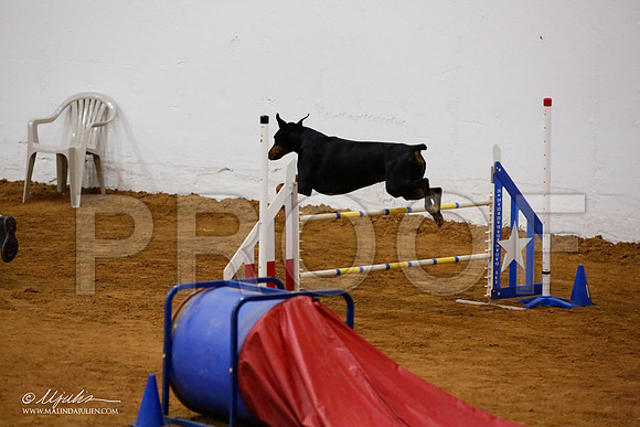 _JJ_5309-FWAgilJun2015-HR3