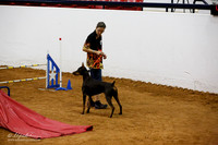 Std Exc 24 Fri Mary Swindel Katniss
