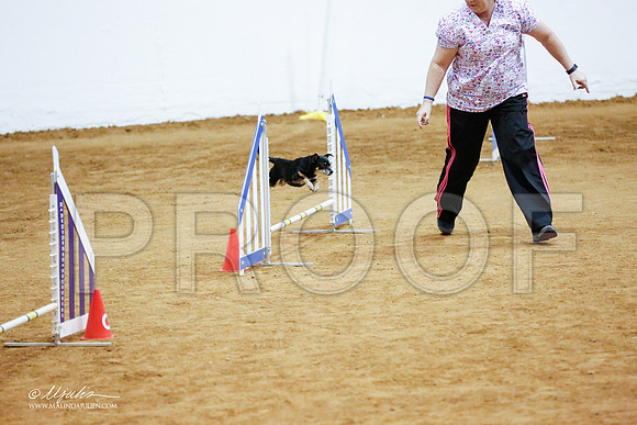 _CL_2638-FWAgilJun2015-HR3
