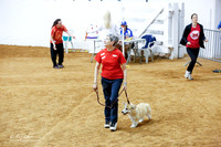 Fast Exc 8 Fri Susan Sammis Nessarose