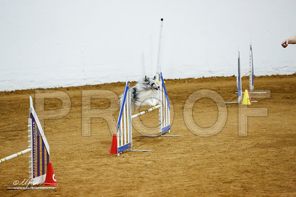_CL_2934-FWAgilJun2015-HR3