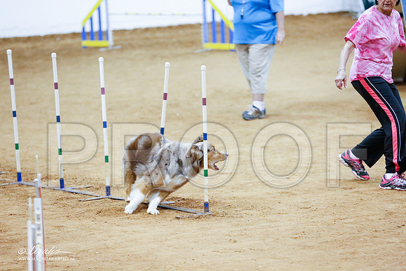 _CL_3031-FWAgilJun2015-HR3