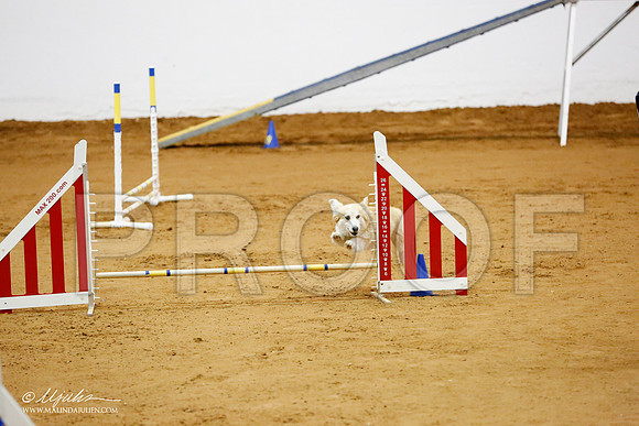 _CL_1211-FWAgilJun2015-HR3