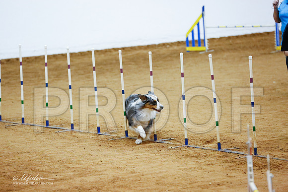 _CL_3677-FWAgilJun2015-HR3