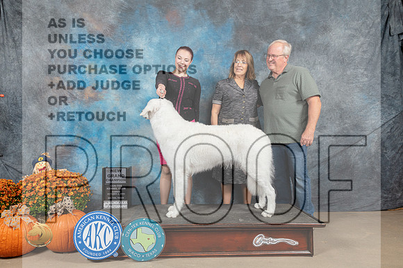 Kuvasz #6 Sun SBGCh Judge Del Richards_MJ_6406_Belton_2022_HR3