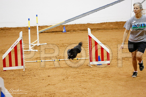 _CL_1177-FWAgilJun2015-HR3