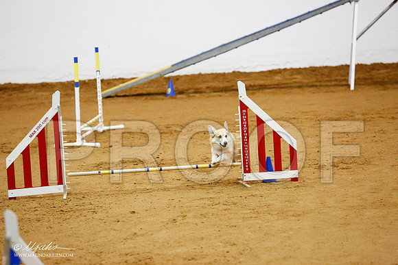 _CL_1373-FWAgilJun2015-HR3