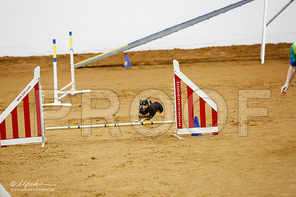 _CL_0980-FWAgilJun2015-HR3