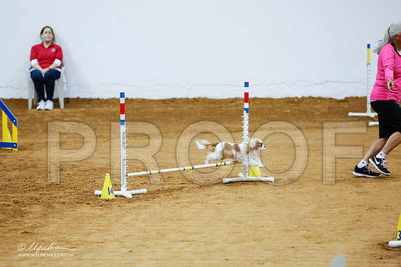 _CL_2040-FWAgilJun2015-HR3
