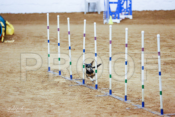_CL_1820-FWAgilJun2015-HR3