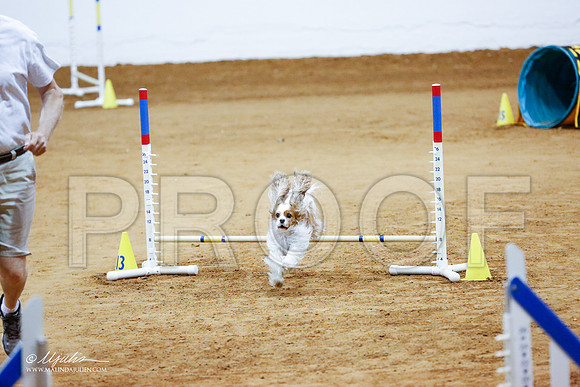 _CL_2258-FWAgilJun2015-HR3