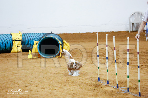 _CL_2267-FWAgilJun2015-HR3