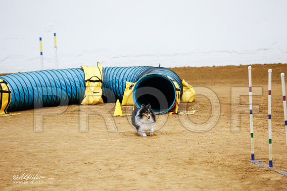 _CL_1869-FWAgilJun2015-HR3
