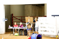 Std Exc 16 Sat Amy Tabor Desi