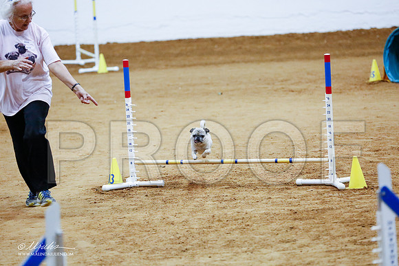 _CL_2201-FWAgilJun2015-HR3