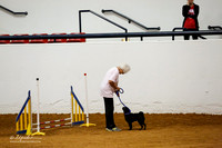JWW Exc 8 Fri Willie Meyers Puggles