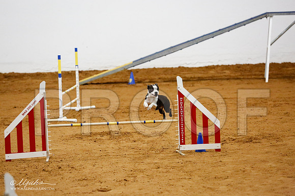 _CL_9891-FWAgilJun2015-HR3