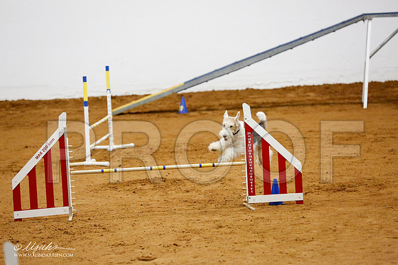 _CL_0125-FWAgilJun2015-HR3