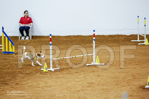 _CL_1309-FWAgilJun2015-HR3