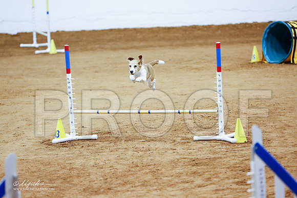_CL_1312-FWAgilJun2015-HR3