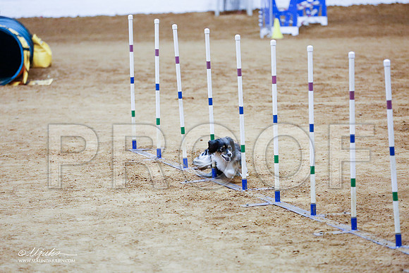 _CL_1207-FWAgilJun2015-HR3