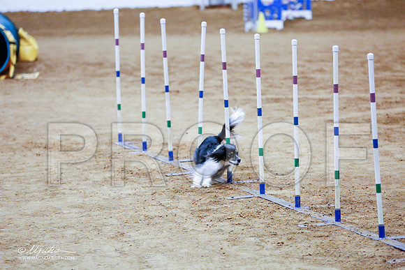 _CL_1208-FWAgilJun2015-HR3