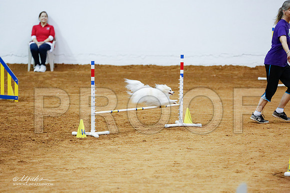 _CL_1061-FWAgilJun2015-HR3