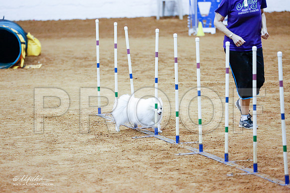 _CL_1070-FWAgilJun2015-HR3